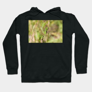 Green Dreams Are Made Of This Hoodie